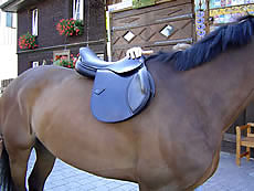Sattel anpassen auflegen