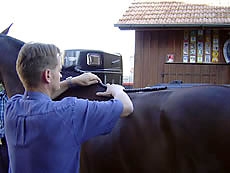 Sattel anpassen